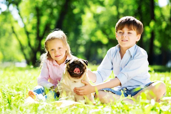 Summer weekend in park — Stock Photo, Image