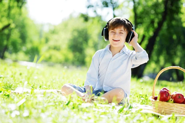 Sons da natureza — Fotografia de Stock