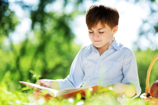 Summer weekend outdoors — Stock Photo, Image