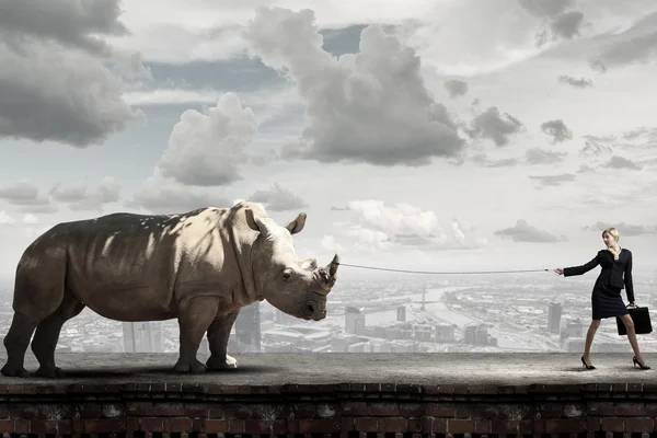 Bescherming van dieren — Stockfoto