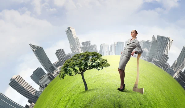 Stoppen stek bomen — Stockfoto