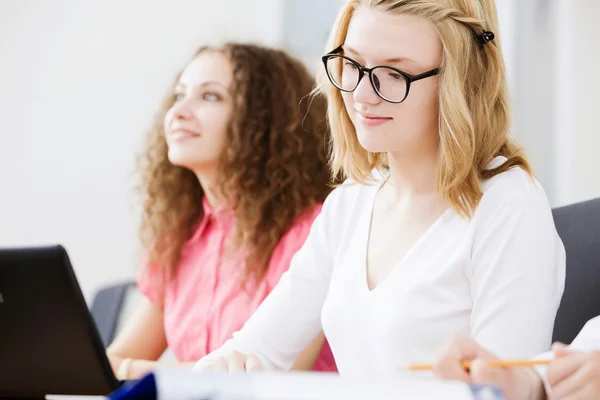 Students at lesson — Stock Photo, Image