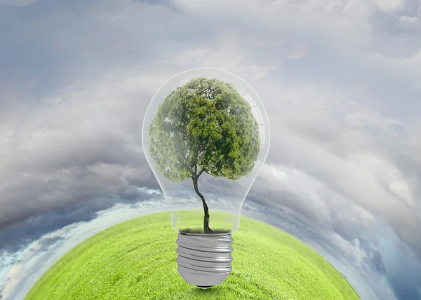 Ideias ecológicas — Fotografia de Stock