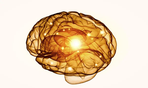 Cerebro humano — Foto de Stock