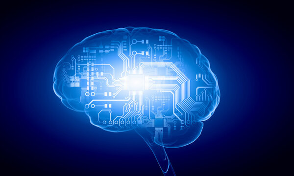 Человеческий мозг
