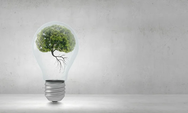 Ecology ideas — Stock Photo, Image