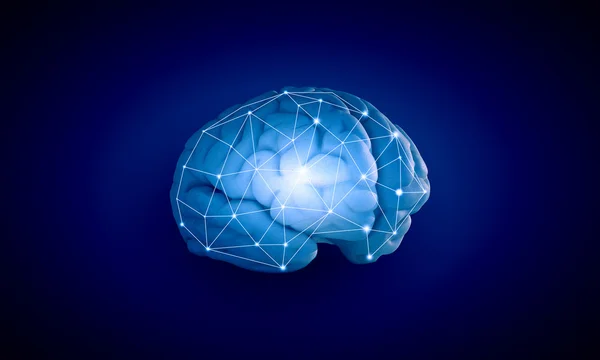 Menselijke hersenen — Stockfoto