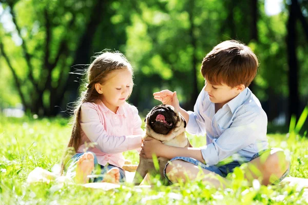 Summer weekend in park — Stock Photo, Image