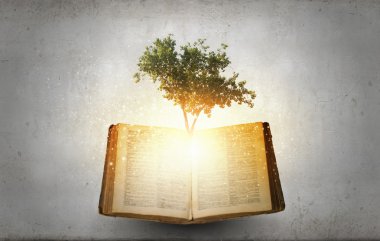 Okuma ve kendi eğitim