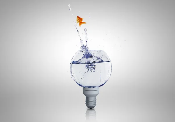 Лампочка з водою — стокове фото