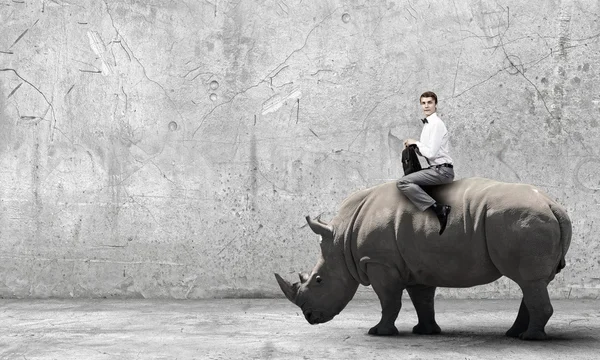 Man ride rhino — Stock Photo, Image