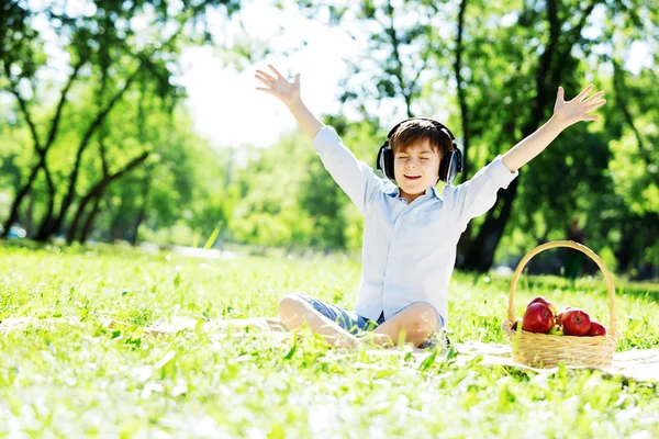 Ljudet av naturen — Stockfoto