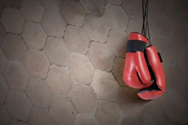 Luvas de boxe — Fotografia de Stock