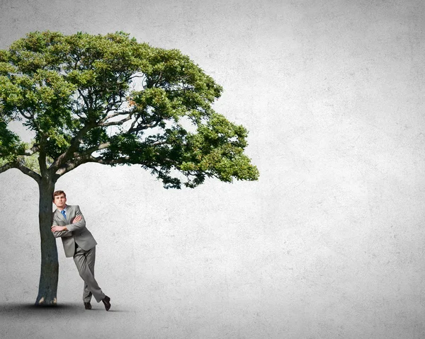 Mann und grüner Baum — Stockfoto