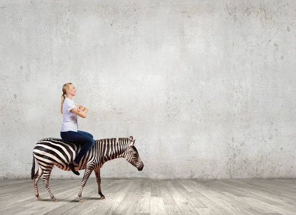 Kadın binmek zebra — Stok fotoğraf