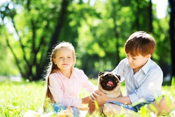 Summer weekend in park — Stock Photo, Image