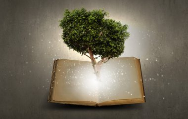 Okuma ve kendi eğitim