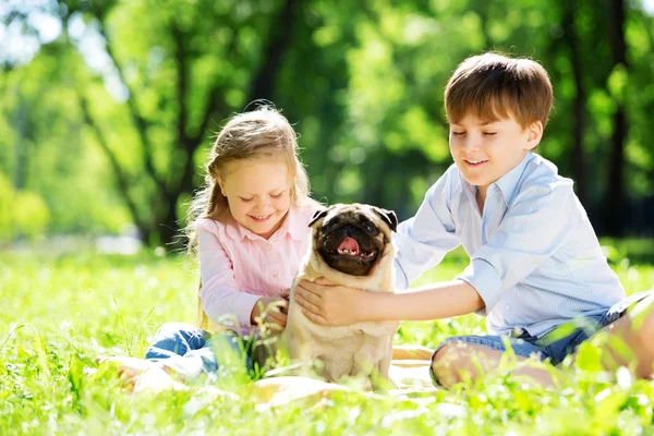 Zomer weekend in park — Stockfoto