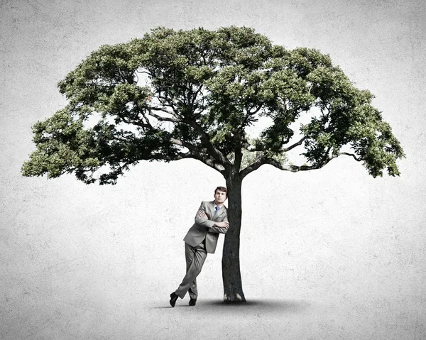 Man and green tree — Stock Photo, Image
