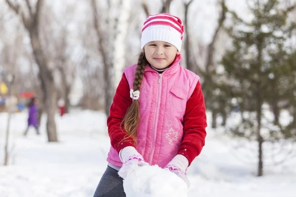 Actividad invernal — Foto de Stock