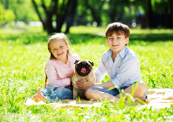 Summer weekend in park — Stock Photo, Image