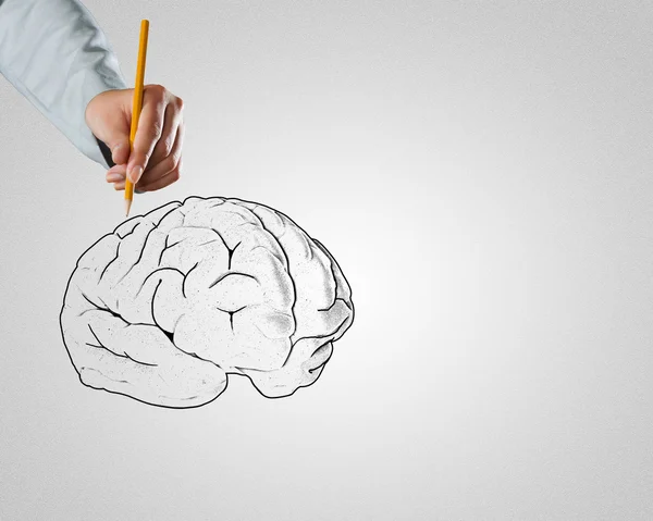 Businessman drawing brain — Stock Photo, Image