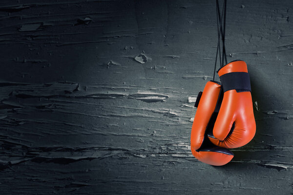 Боксерские глобусы