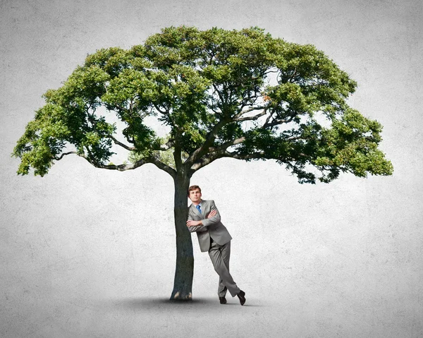 Man and green tree — Stock Photo, Image