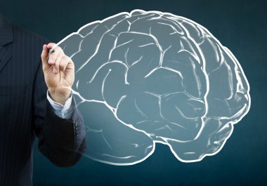 İşadamı çizim beyin