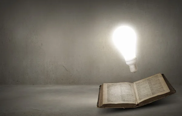 Book and light bulb — Stock Photo, Image