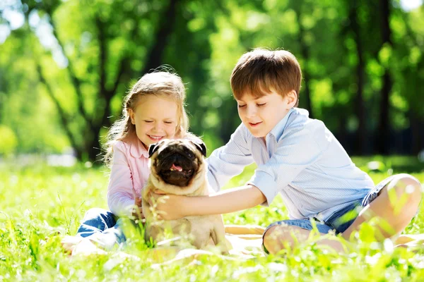 Summer weekend in park — Stock Photo, Image