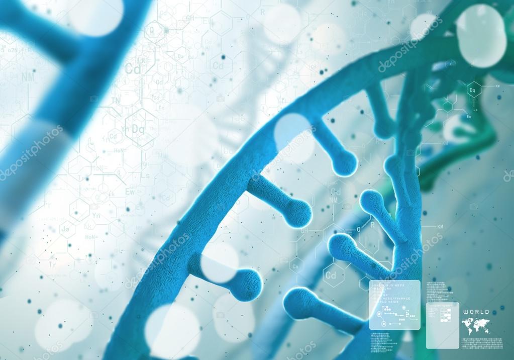 Dna molecule