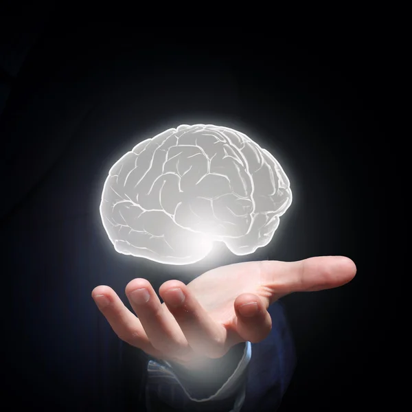 Cerebro humano — Foto de Stock