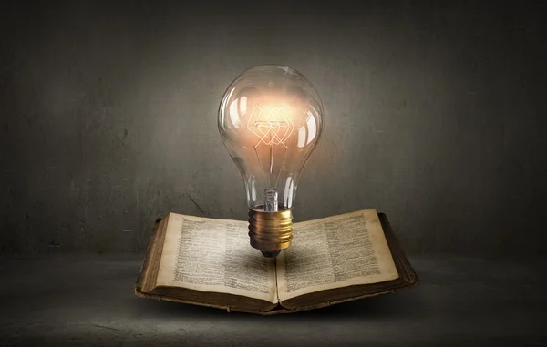 Libro e lampadina — Foto Stock