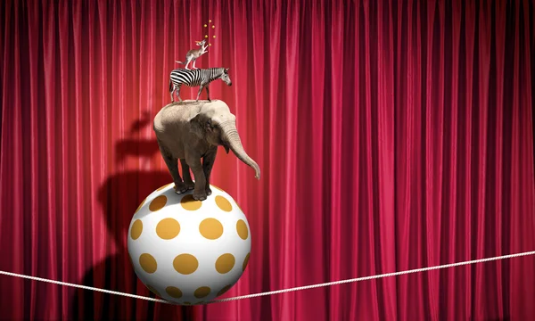 Cirkus i staden — Stockfoto