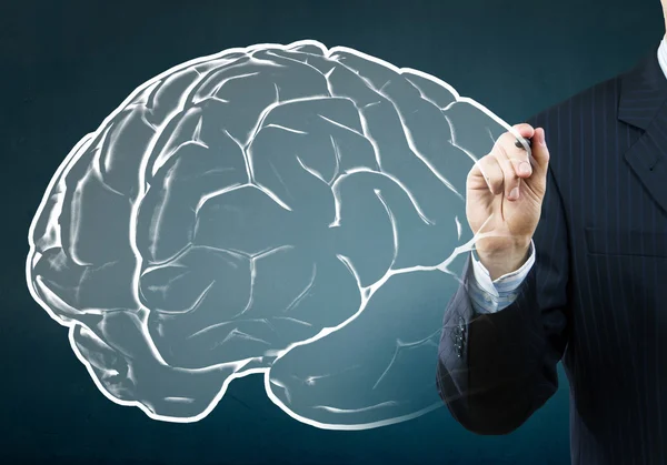 Businessman drawing brain — Stock Photo, Image