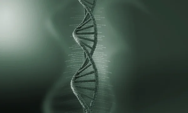 DNA-molekylen — Stockfoto