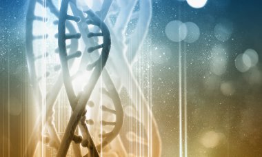 DNA molekülü