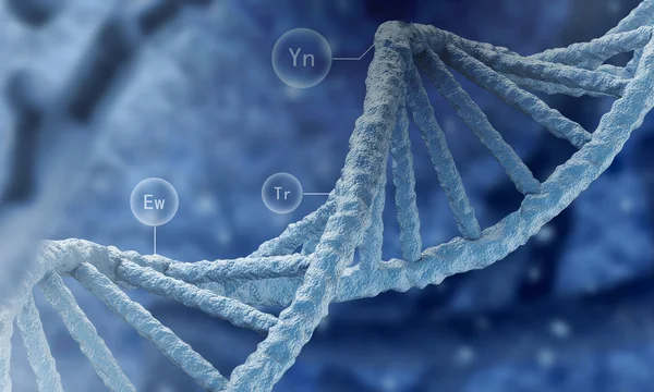 Molecola del DNA — Foto Stock