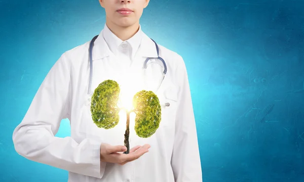 Healthy lungs — Stock Photo, Image