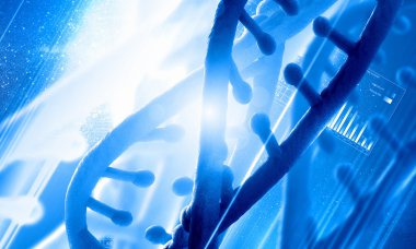 DNA molekülü