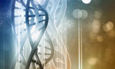 DNA molekülü