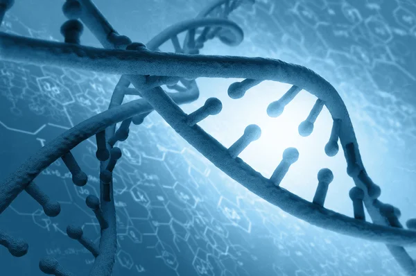 DNA-molekylen — Stockfoto