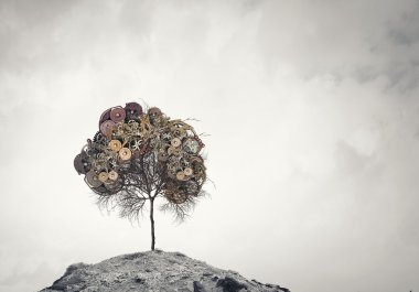 Doğa mekanizmaları