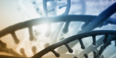 DNA molekülü