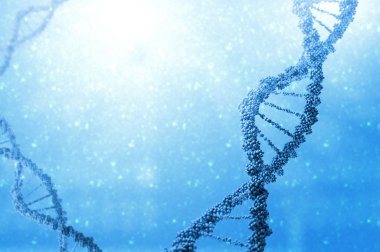 DNA molekülü