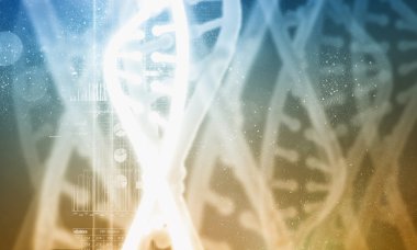 DNA molekülü