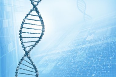 DNA molekülü