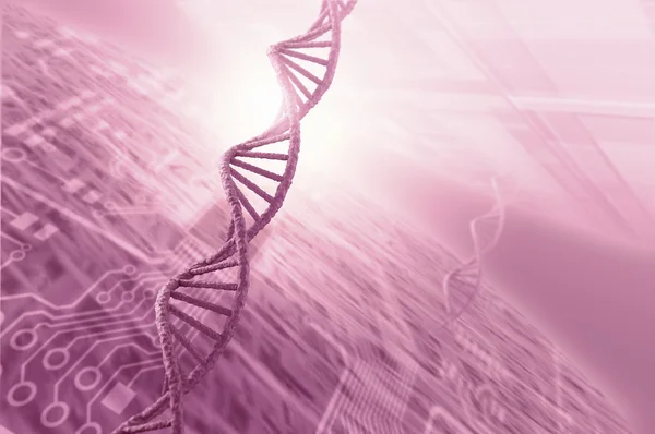 Dna-Molekül — Stockfoto