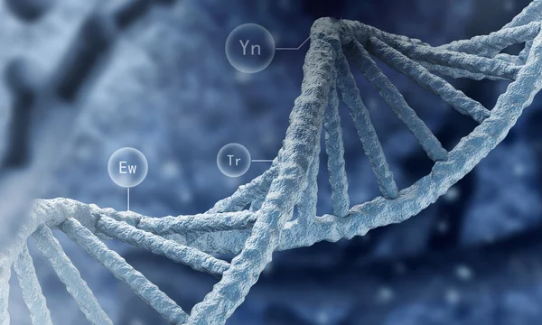 Molécula de ADN —  Fotos de Stock